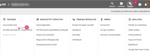 Hirdetés előnézet - Google Ads